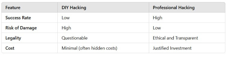 DIY-Hacking-vs.-Professional-Hacking